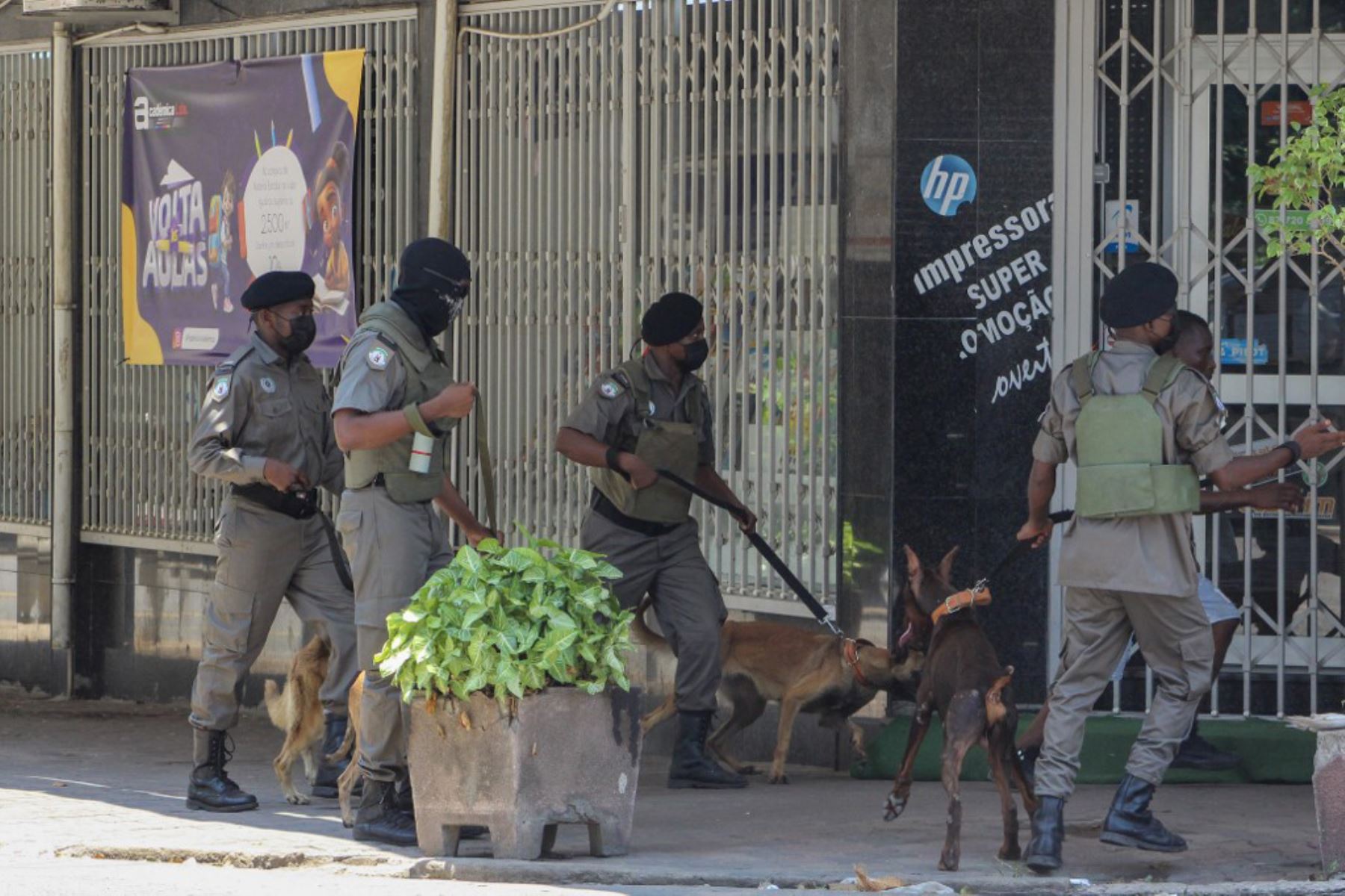 Oficiales de policía de Ozambique con perros ahuyentan a manifestantes invisibles en Maputo el 15 de enero de 2025 mientras Daniel Chapo presta juramento como presidente de Mozambique durante su toma de posesión en la Plaza de la Independencia. Foto: AFP