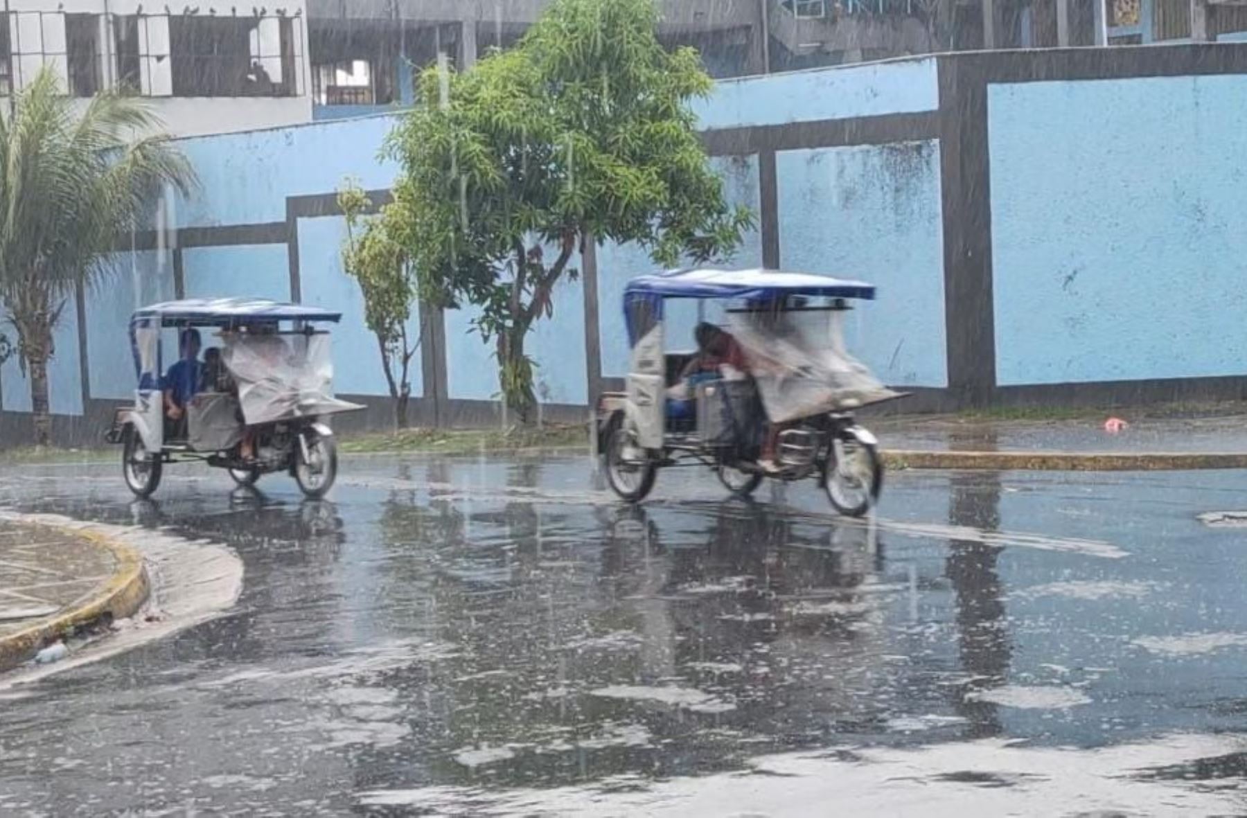 Para este sábado se prevén acumulados pluviales próximos a los 40 mm/día en la selva central y valores alrededor de los 60 mm/día en la selva sur.ANDINA/Difusión