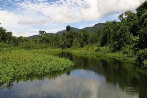 Este Grupo de Tabajo Multisectorial, aparte del Minam, lo integran representantes de los ministerios de Desarrollo Agrario y Riego, Energía y Minas, Producción y de Cultura.