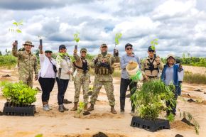 Defensa contribuye en recuperación de áreas afectadas por la minería ilegal.