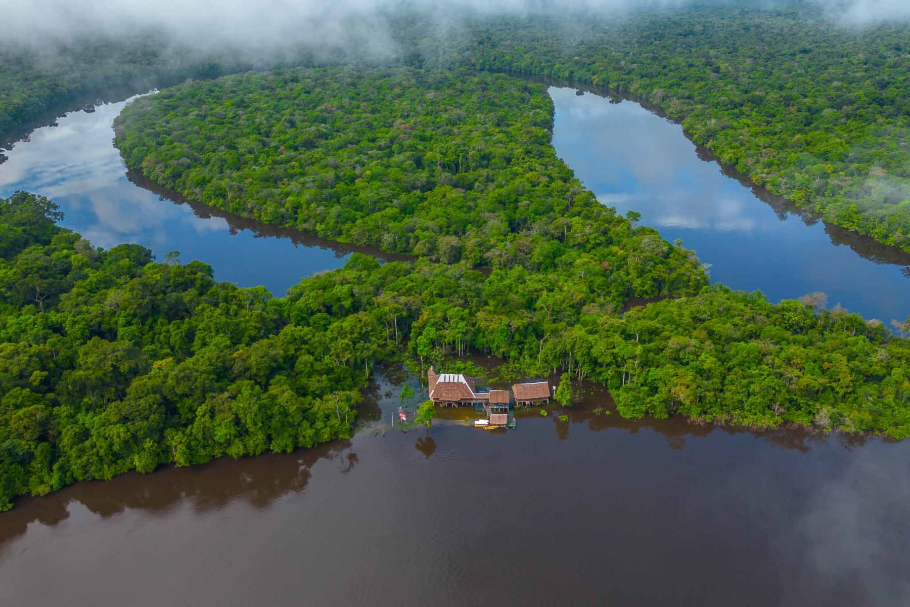 La Reserva Nacional Allpahuayo Mishana está situada en el departamento de Loreto, entre el km 23 y el km 31.5 de la carretera Iquitos-Nauta, cerca de la ciudad de Iquitos, y en la cuenca media del río Nanay. Su estratégica ubicación en la Amazonía peruana la convierte en un tesoro natural.
Foto: Sernanp/ Gino Tuesta