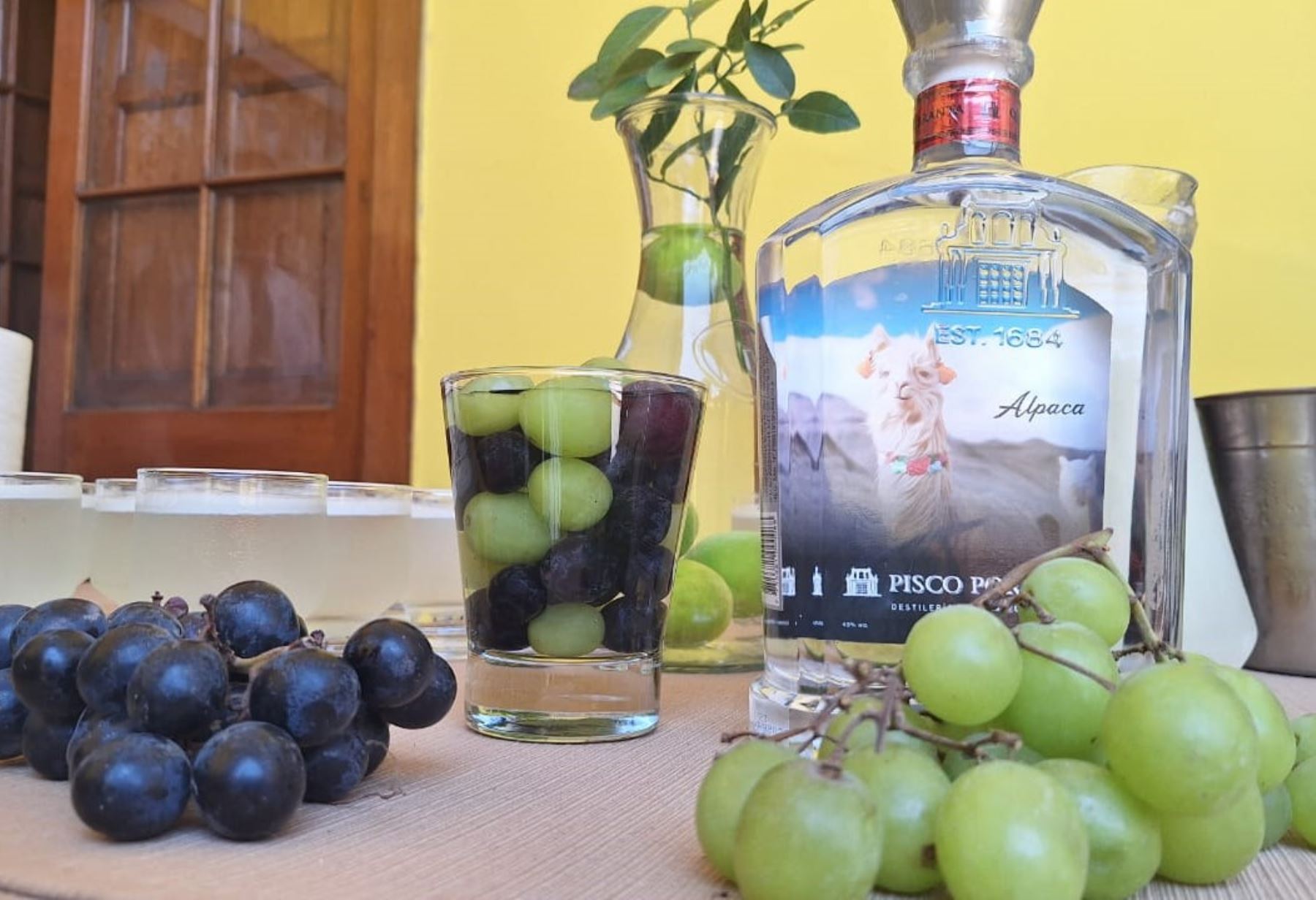 A propósito del Día Nacional del Pisco Sour, lanzan campaña para promover el consumo de pisco en La Libertad. Foto: Luis Puell