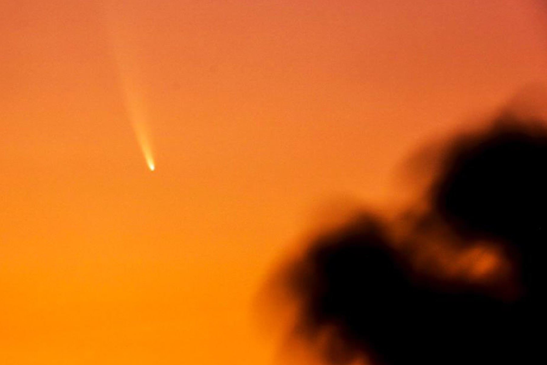 En el reporte del 18 de abril de 2024, el Centro de Planetas Menores informó que el cometa fue nombrado C/2024 G3 (ATLAS). Foto: Observatorio Miramar (Francisco Sansivirini) / @astro_sal