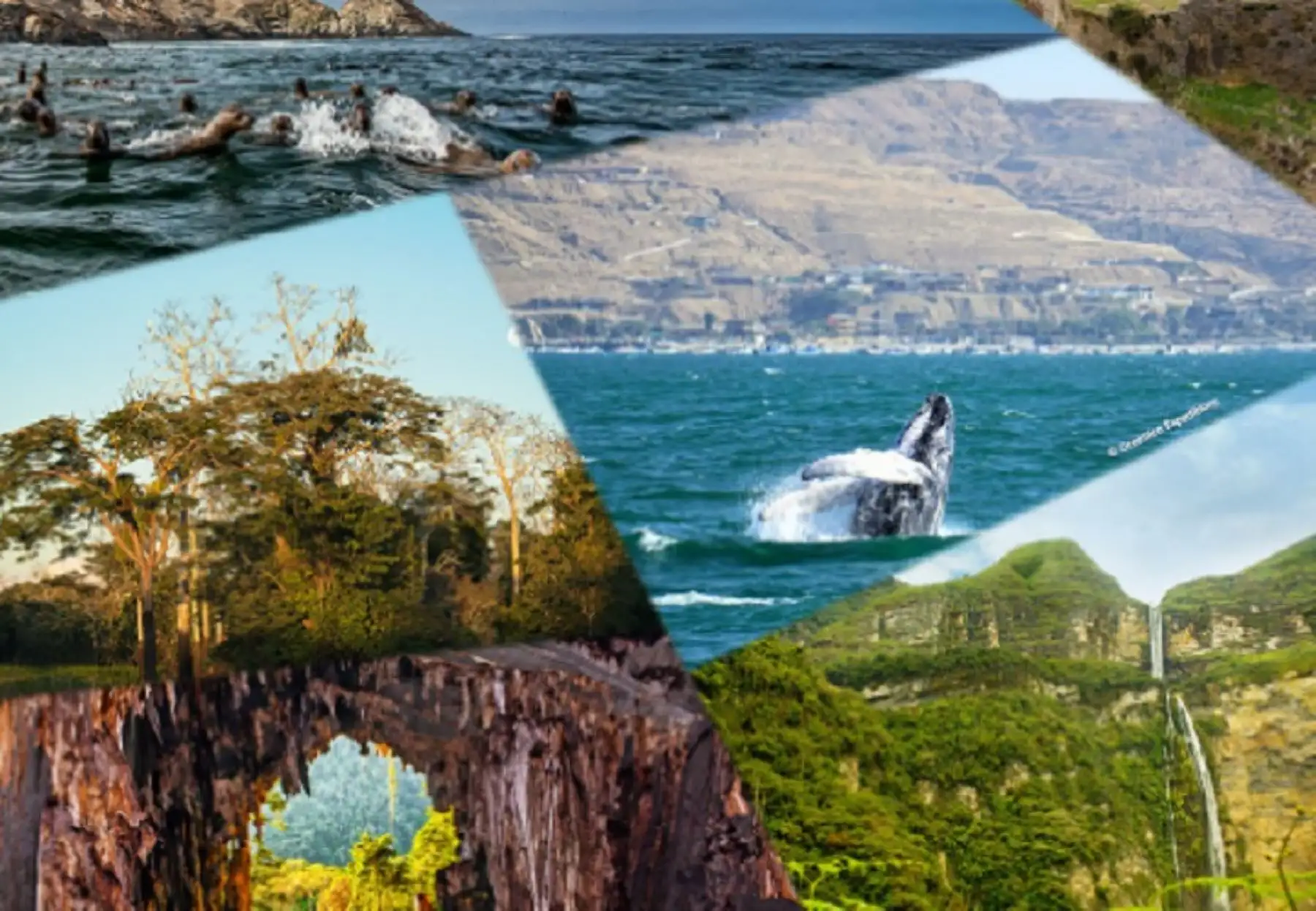 Los cuatro atractivos naturales peruanos que participan en concurso internacional. INTERNET/Medios