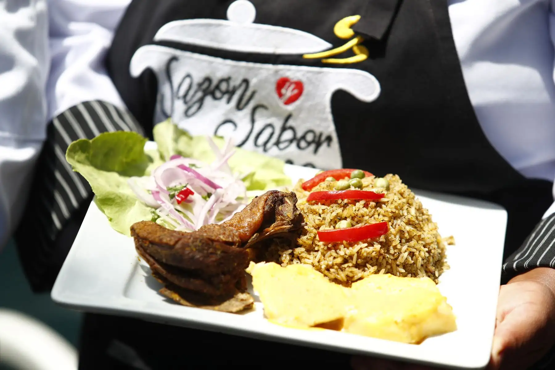 Platos típicos peruanos como el cebiche, la sopa seca con carapulcra, la pachamanca, el seco con frijoles y la pollada, entre otros, se ofrecen al público en la Feria Gastronómica Sazón y Sabor Peruano, que se realiza del 17 al 19 de enero en la plazuela San Agustín del Cercado de Lima, en el marco de las celebraciones por el 490° Aniversario de Lima. Foto: ANDINA/Daniel Bracamonte