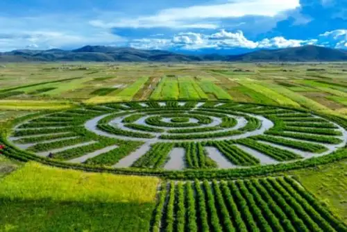 Los impresionantes waru waru, de origen aimara, puede ser una solución para enfrentar el cambio climático. ANDINA/Difusión