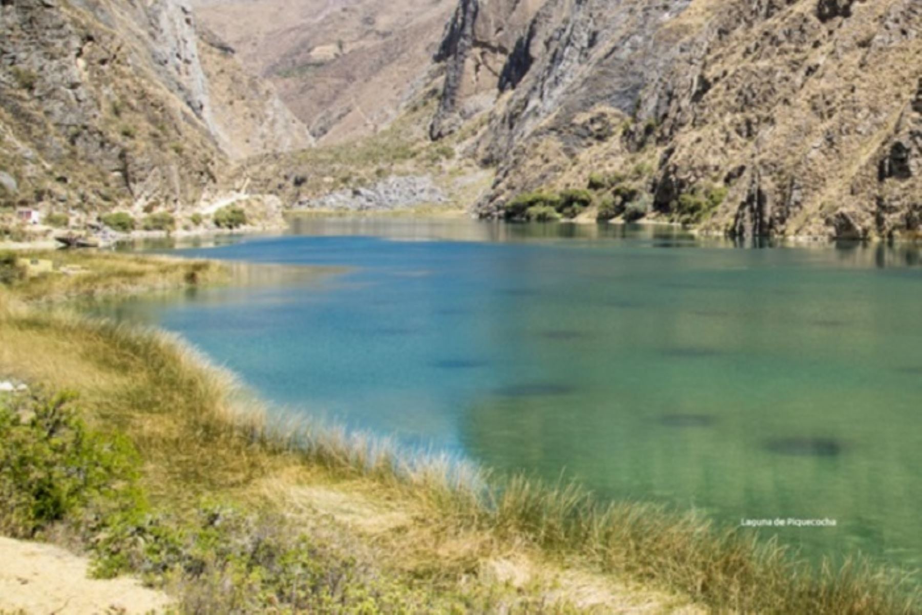 Los humedales son los ecosistemas más biodiversos y productivos del mundo, se constituyen en verdaderos refugios de vida silvestre y zonas de anidamiento para aves residentes y migratorias.