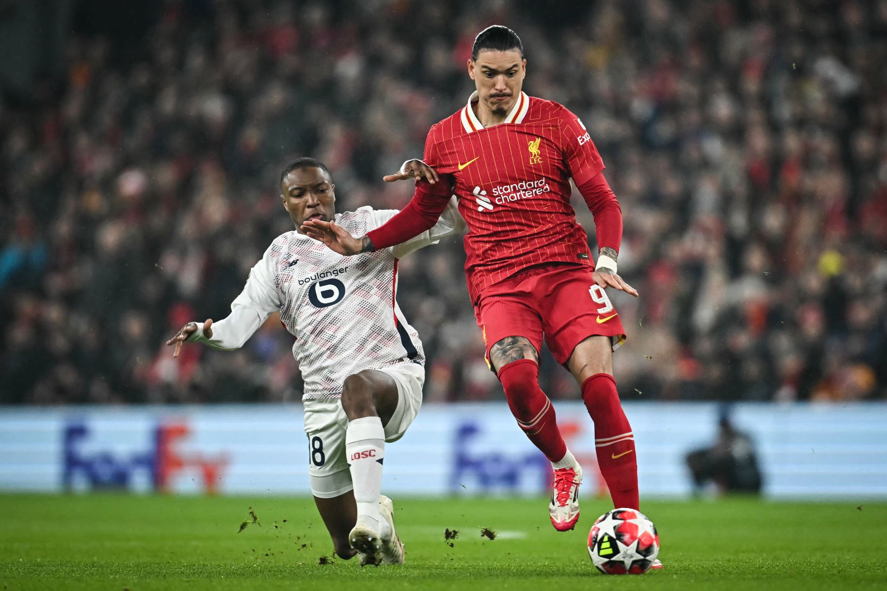 El defensor francés del Lille, Bafode Diakite lucha por el balón con el delantero uruguayo del Liverpool, Darwin Núñez durante el partido de fútbol de la Liga de Campeones de la UEFA entre Liverpool y Lille LOSC.
Foto: AFP