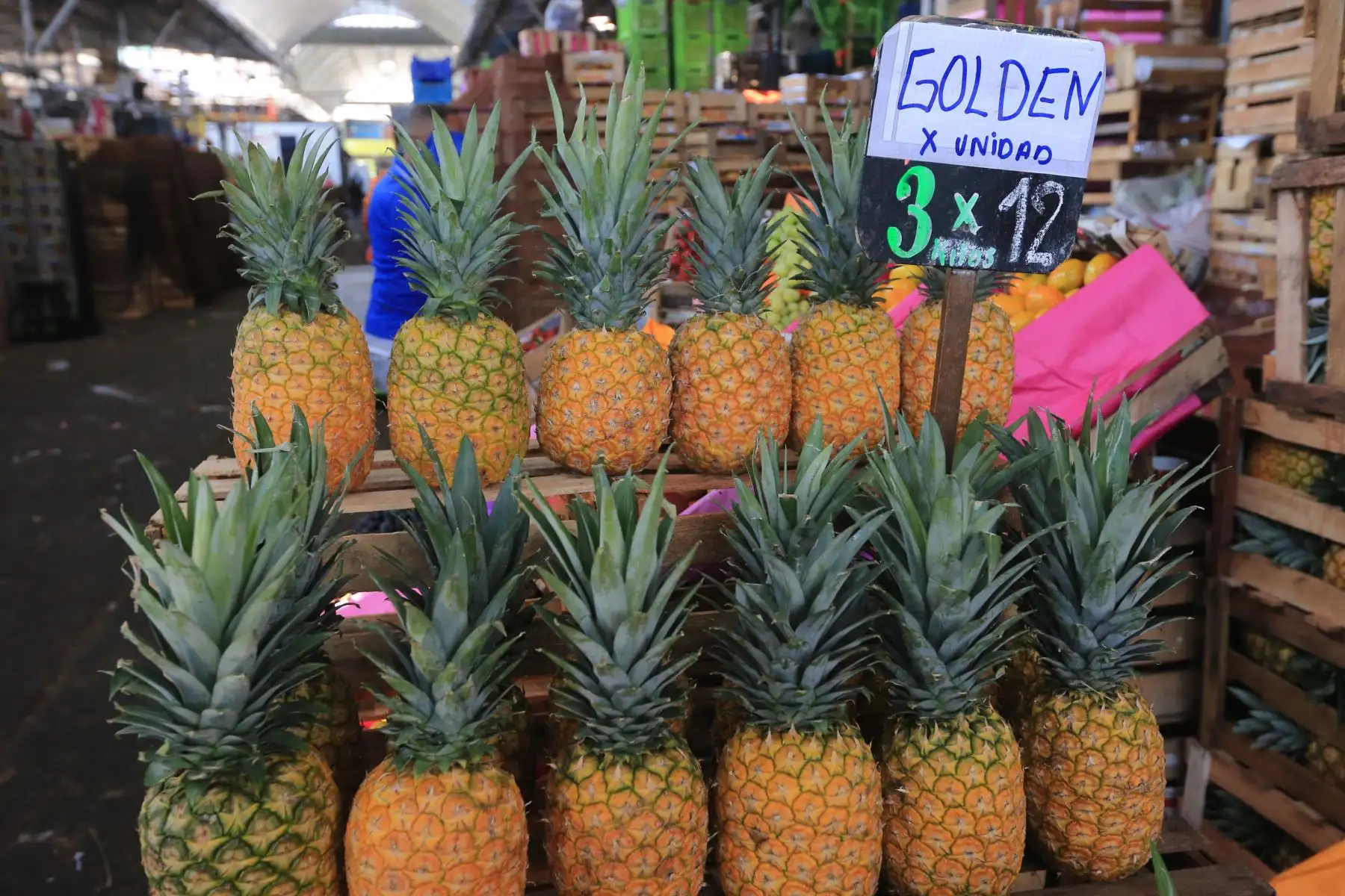 El Ministerio de Desarrollo Agrario y Riego (Midagri) promueve el consumo de frutas de temporada, como uva, sandía, papaya, chirimoya y banano, ideales para combatir el calor del verano. Estas frutas, cultivadas en diversas regiones del Perú gracias a la agricultura familiar, no solo se consumen frescas, sino también en preparaciones como cremoladas, batidos y ensaladas. Además de mejorar la nutrición, el consumo de estas frutas apoya a los productores locales, quienes abastecen el 70 % de los alimentos en el país. FOTO:ANDINA/Hector Vinces.
