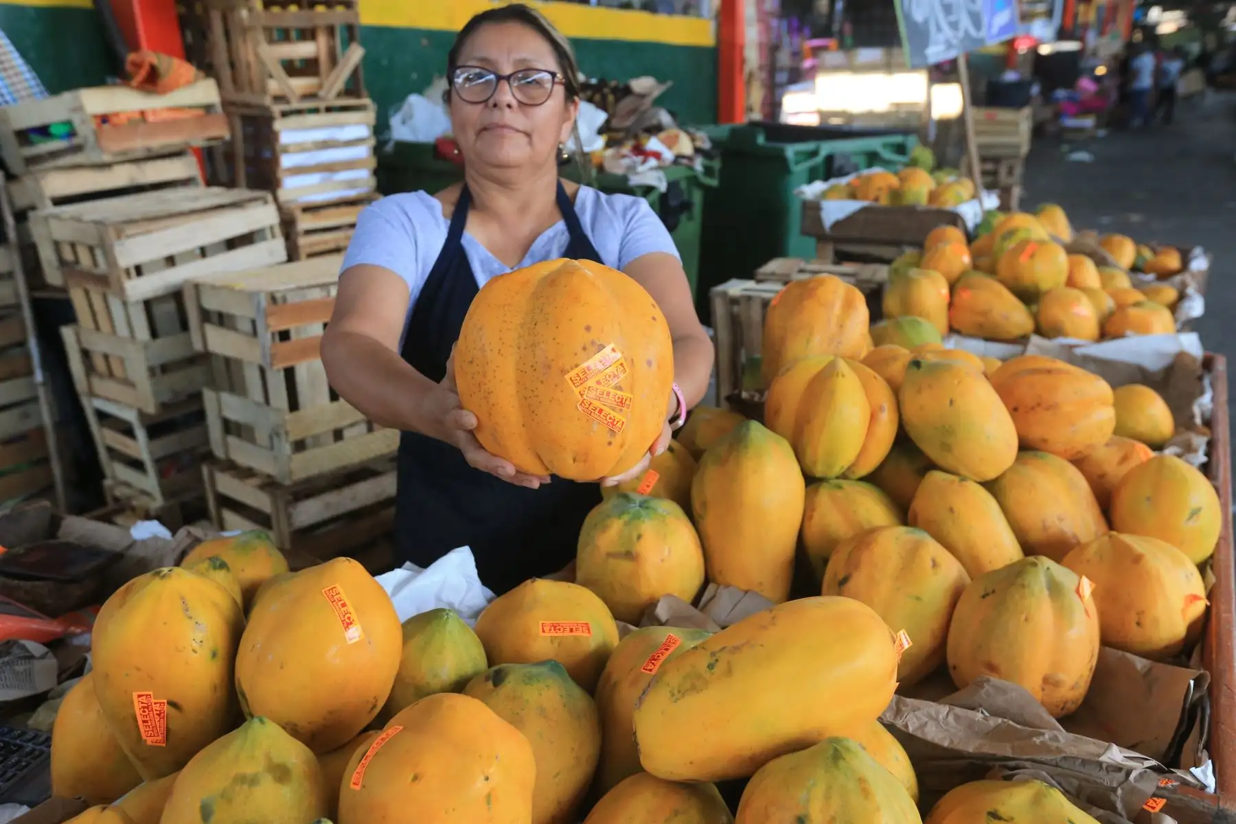 El Ministerio de Desarrollo Agrario y Riego (Midagri) promueve el consumo de frutas de temporada, como uva, sandía, papaya, chirimoya y banano, ideales para combatir el calor del verano. Estas frutas, cultivadas en diversas regiones del Perú gracias a la agricultura familiar, no solo se consumen frescas, sino también en preparaciones como cremoladas, batidos y ensaladas. Además de mejorar la nutrición, el consumo de estas frutas apoya a los productores locales, quienes abastecen el 70 % de los alimentos en el país. FOTO:ANDINA/Hector Vinces.