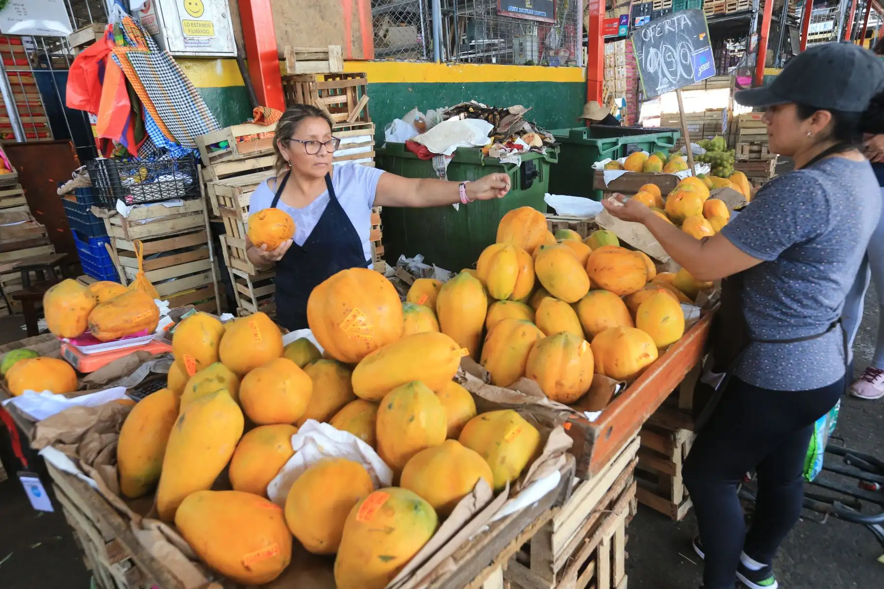 El Ministerio de Desarrollo Agrario y Riego (Midagri) promueve el consumo de frutas de temporada, como uva, sandía, papaya, chirimoya y banano, ideales para combatir el calor del verano. Estas frutas, cultivadas en diversas regiones del Perú gracias a la agricultura familiar, no solo se consumen frescas, sino también en preparaciones como cremoladas, batidos y ensaladas. Además de mejorar la nutrición, el consumo de estas frutas apoya a los productores locales, quienes abastecen el 70 % de los alimentos en el país. FOTO:ANDINA/Hector Vinces.