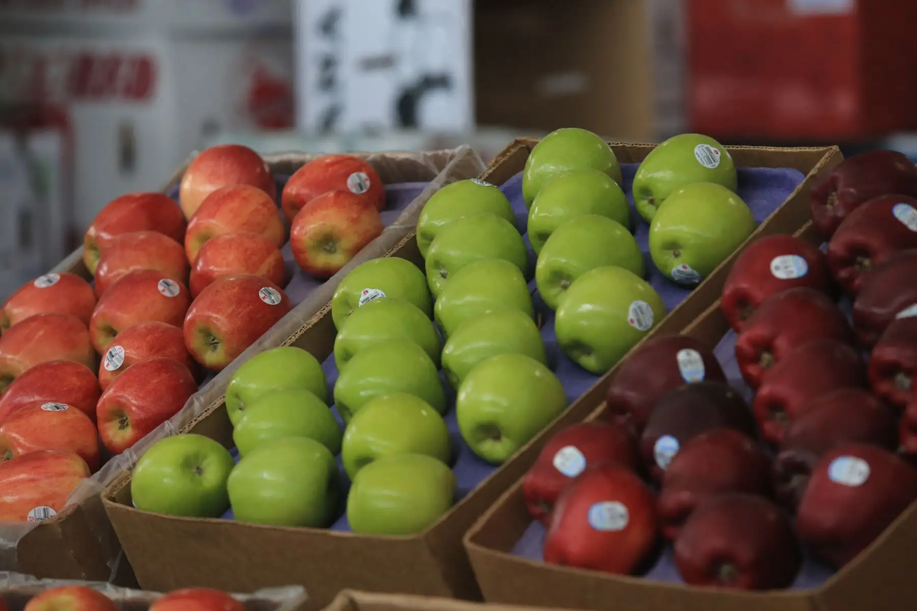El Ministerio de Desarrollo Agrario y Riego (Midagri) promueve el consumo de frutas de temporada, como uva, sandía, papaya, chirimoya y banano, ideales para combatir el calor del verano. Estas frutas, cultivadas en diversas regiones del Perú gracias a la agricultura familiar, no solo se consumen frescas, sino también en preparaciones como cremoladas, batidos y ensaladas. Además de mejorar la nutrición, el consumo de estas frutas apoya a los productores locales, quienes abastecen el 70 % de los alimentos en el país. FOTO:ANDINA/Hector Vinces.