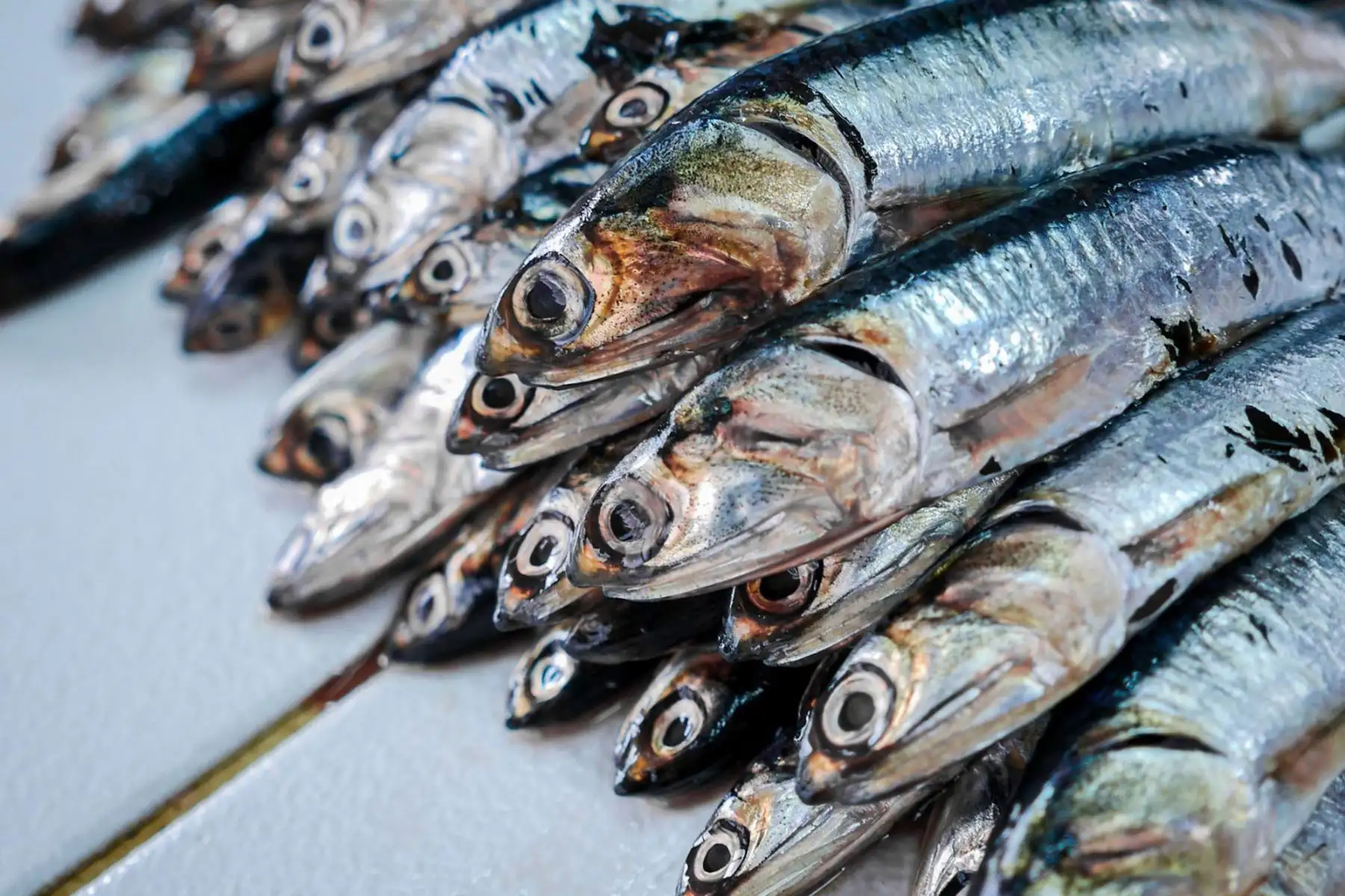 Produce autoriza segunda temporada de pesca de anchoveta en zona sur