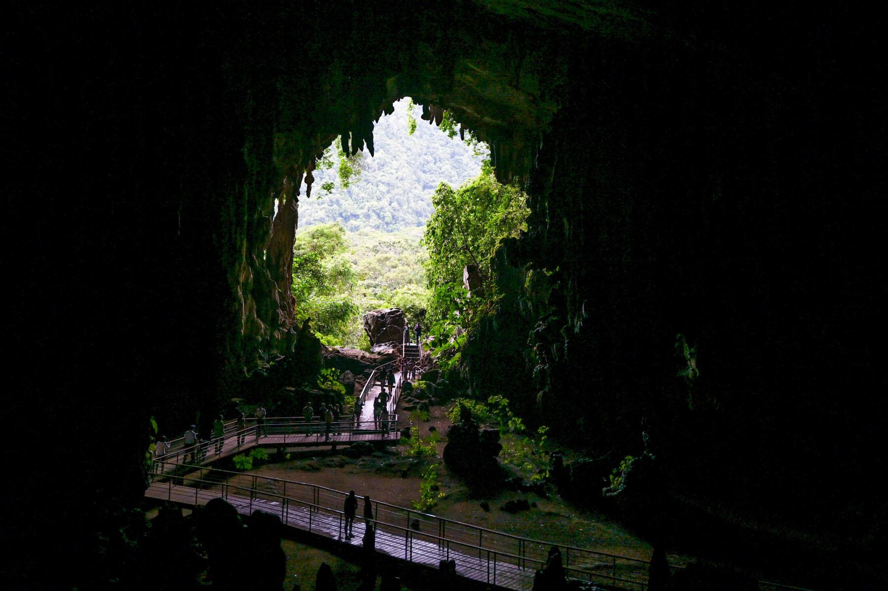 El Parque Nacional Tingo María es una de las cuatro áreas naturales protegidas que postulan a los premios Green Destinations Top 100 People’s Choice Award 2025.