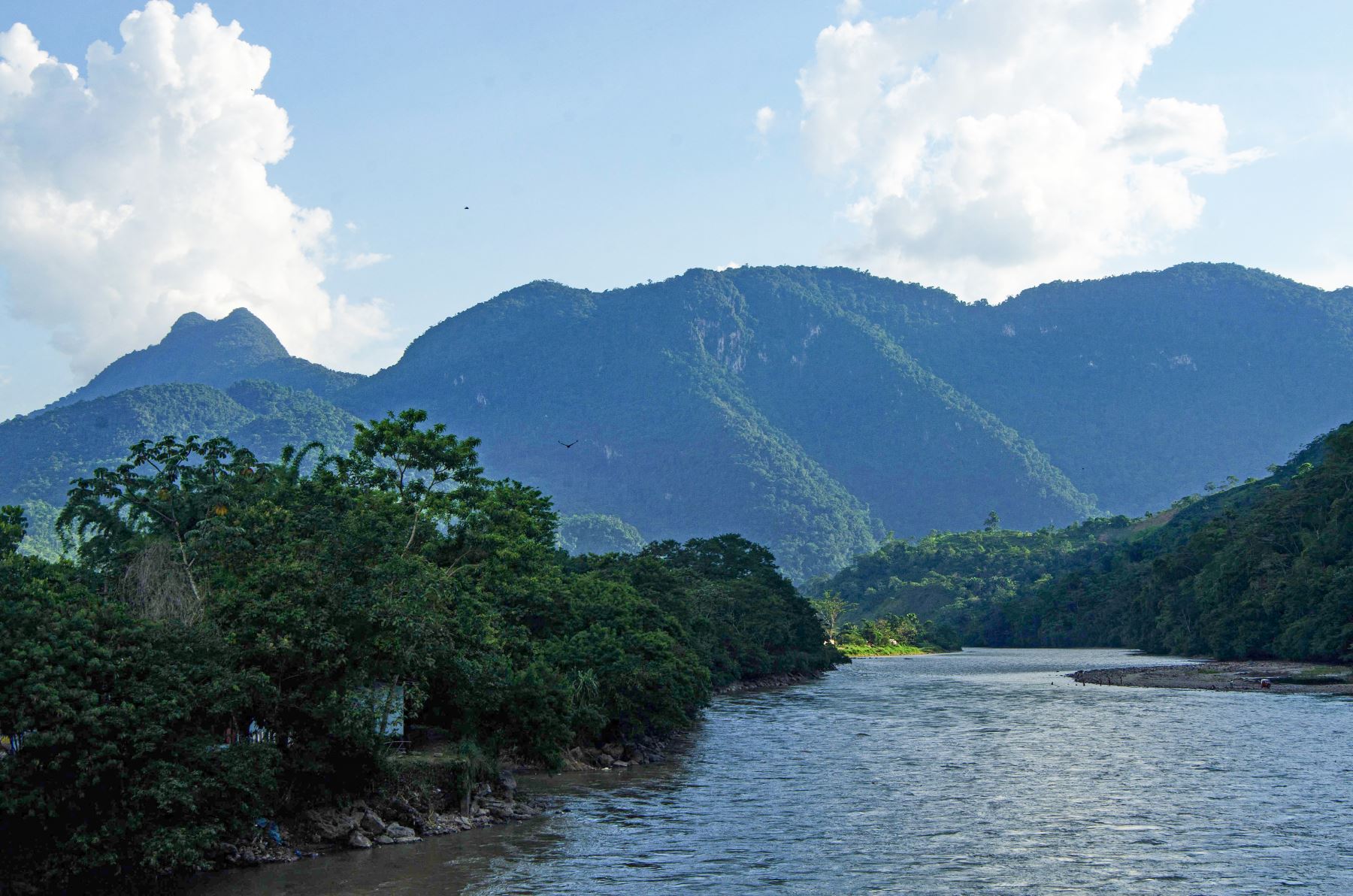 El Parque Nacional Tingo María es la segunda área natural creada en el Perú, el 14 de mayo de 1965 por la Ley N°15574. Actualmente tiene la tarea de conservar 4,777 hectáreas de área natural protegida en la que destacan la cadena montañosa conocida como La Bella Durmiente y la Cueva de las Lechuzas con sus bosques adyacentes y biodiversidad.