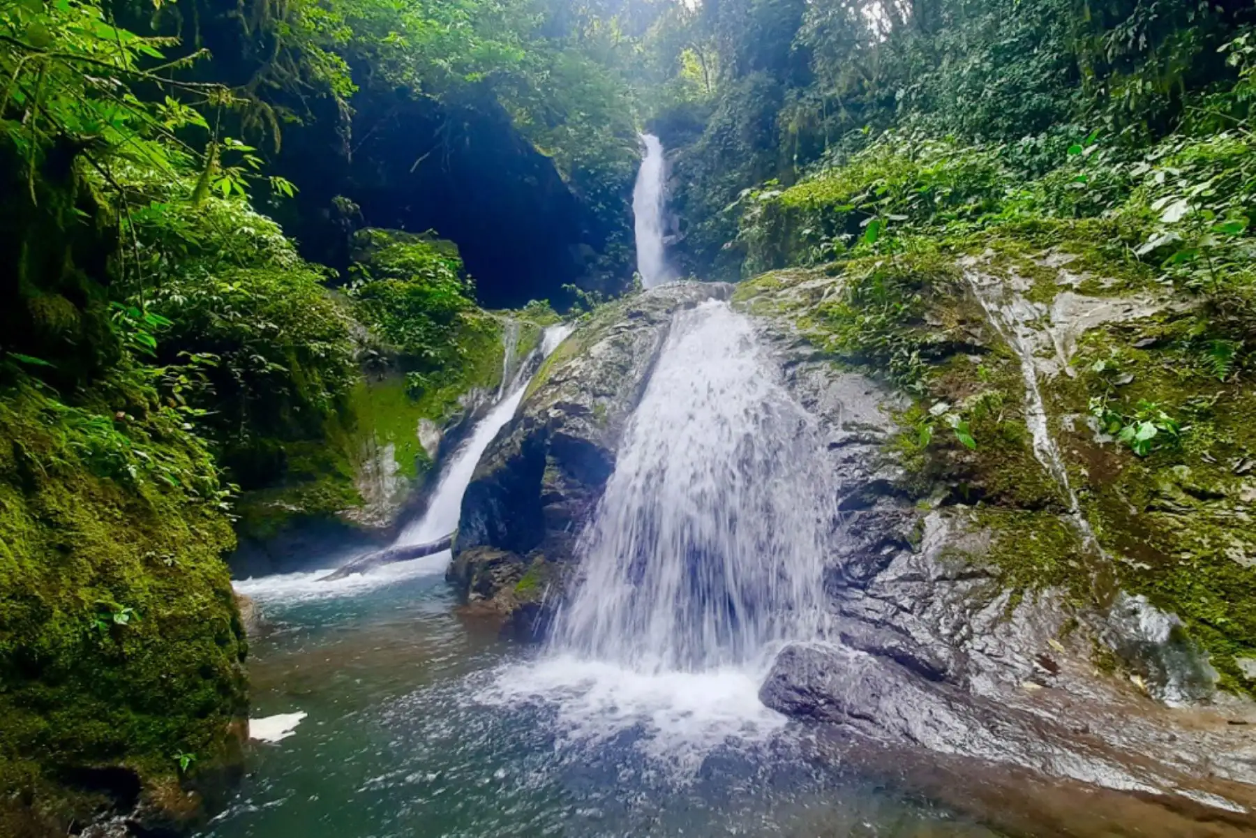 Green Destinations resalta que, gracias al posicionamiento turístico obtenido durante estos años, el Parque Nacional Tingo María se ha convertido en el principal atractivo turístico del departamento de Huánuco