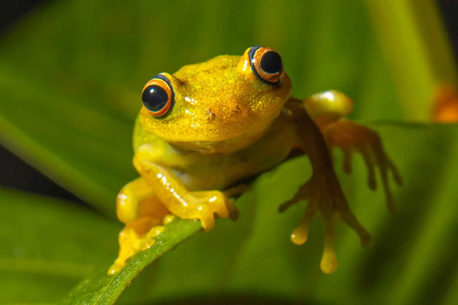 La importancia de conservar los recursos naturales está ligada al mantenimiento de la belleza escénica del paisaje