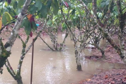 Autoridades locales evacuaron a familias damnificadas hacia viviendas de parientes y vecinos, como medida temporal, mientras disminuye  el caudal de los ríos.