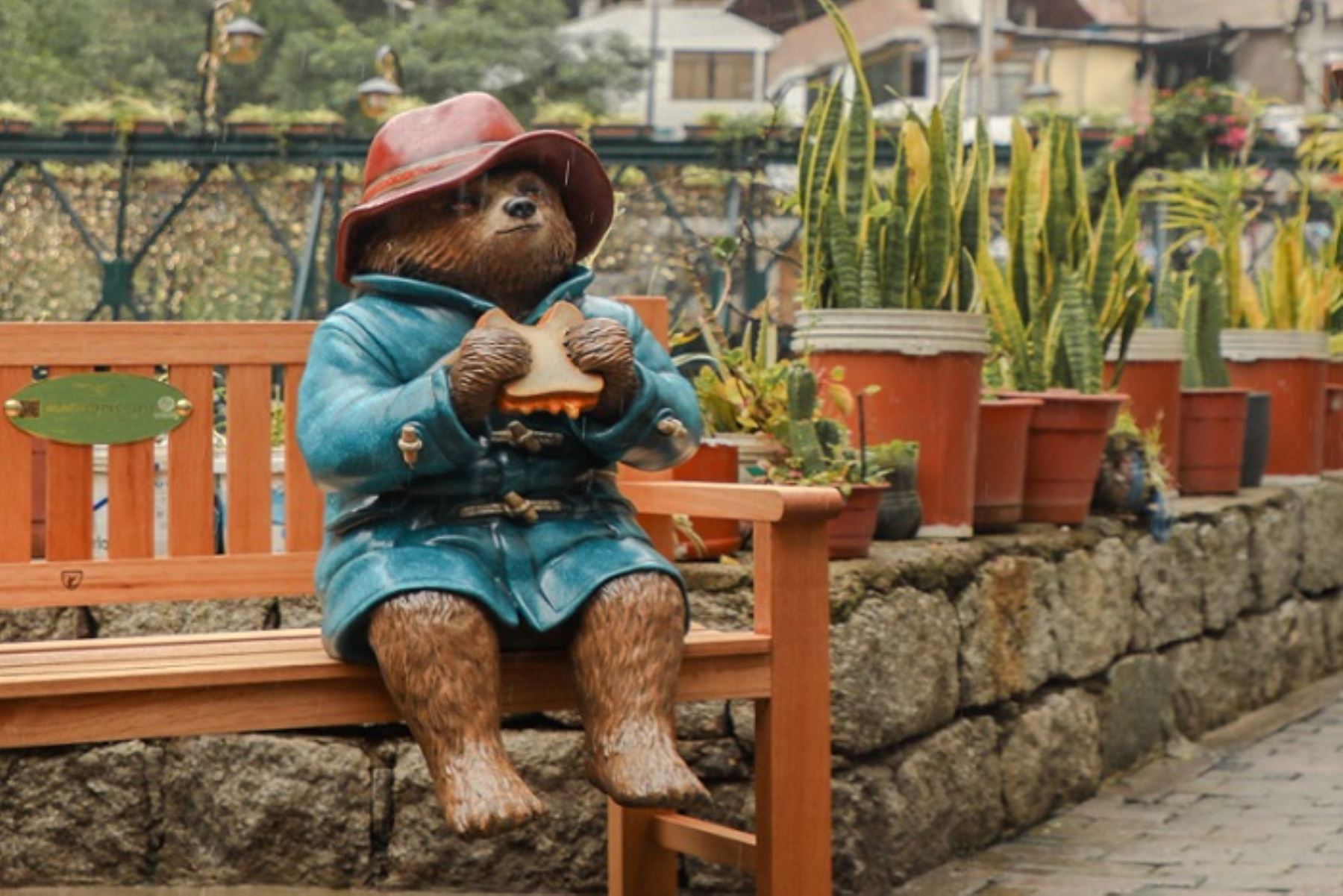 Paddington está literalmente feliz sobre un asiento de madera, con su clásica ropa y sombrero, y un sándwich que degusta muy cerca de la ribera del río Aguas Calientes.