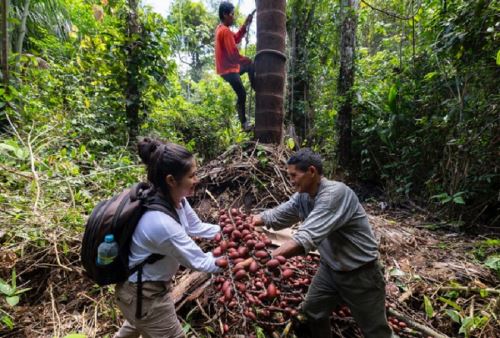 Turismo sostenible en la Amazonía peruana.