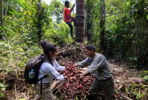 Turismo sostenible en la Amazonía peruana. 