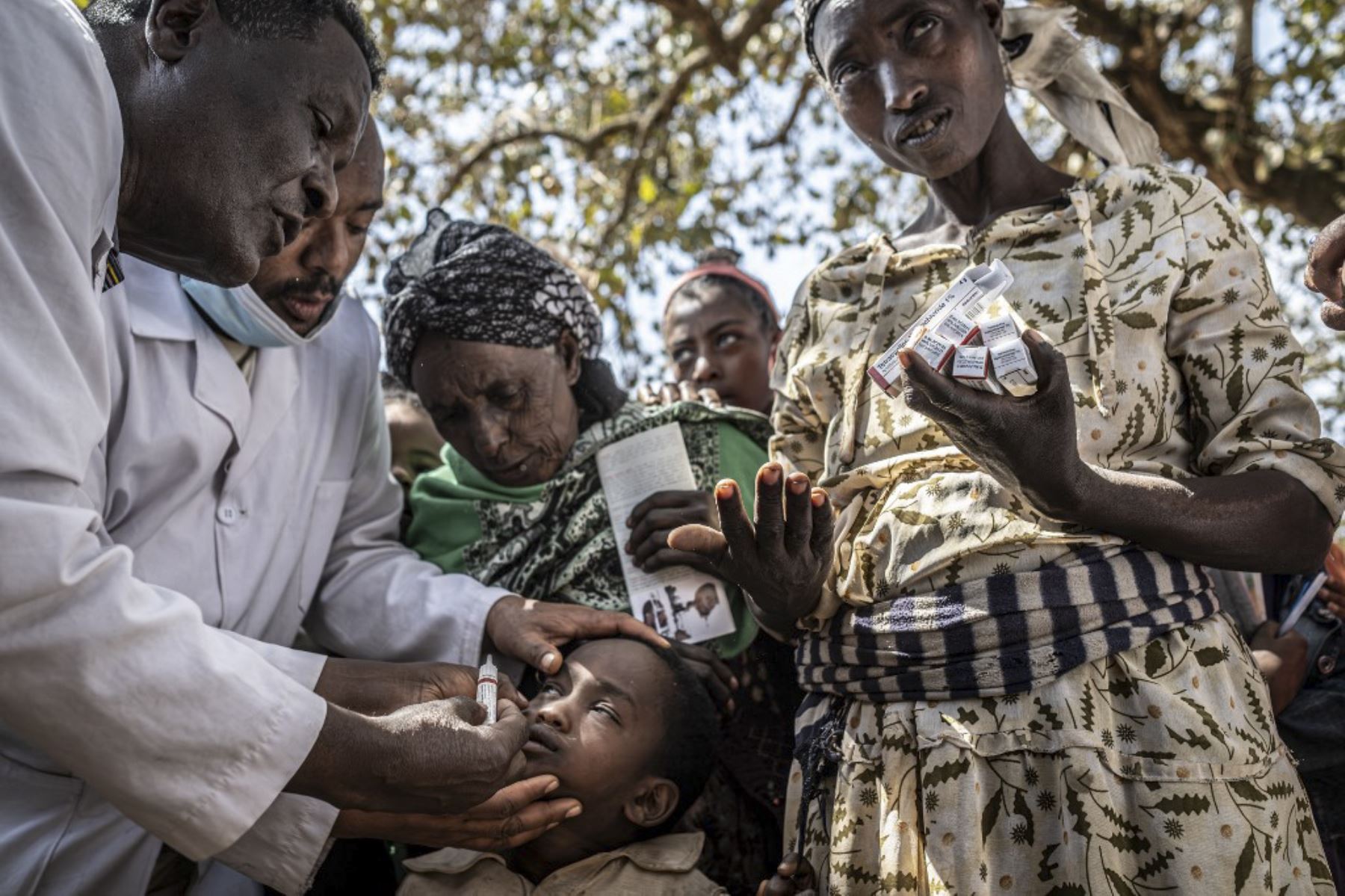 La enfermera oftalmológica Gizachew Abebe, de 60 años, (L) y otros miembros del equipo del Hospital Grarbet Tehadiso Mahber (GTM) distribuyen ungüentos antibióticos para el tracoma a la población en un pueblo cerca de Butajira. El tracoma es responsable de cegar o deteriorar visualmente a casi dos millones de personas en todo el mundo. Es causada por la infección con la bacteria Chlamydia trachomatis, que se propaga a través del contacto con los ojos o la nariz de las personas infectadas. Foto: AFP