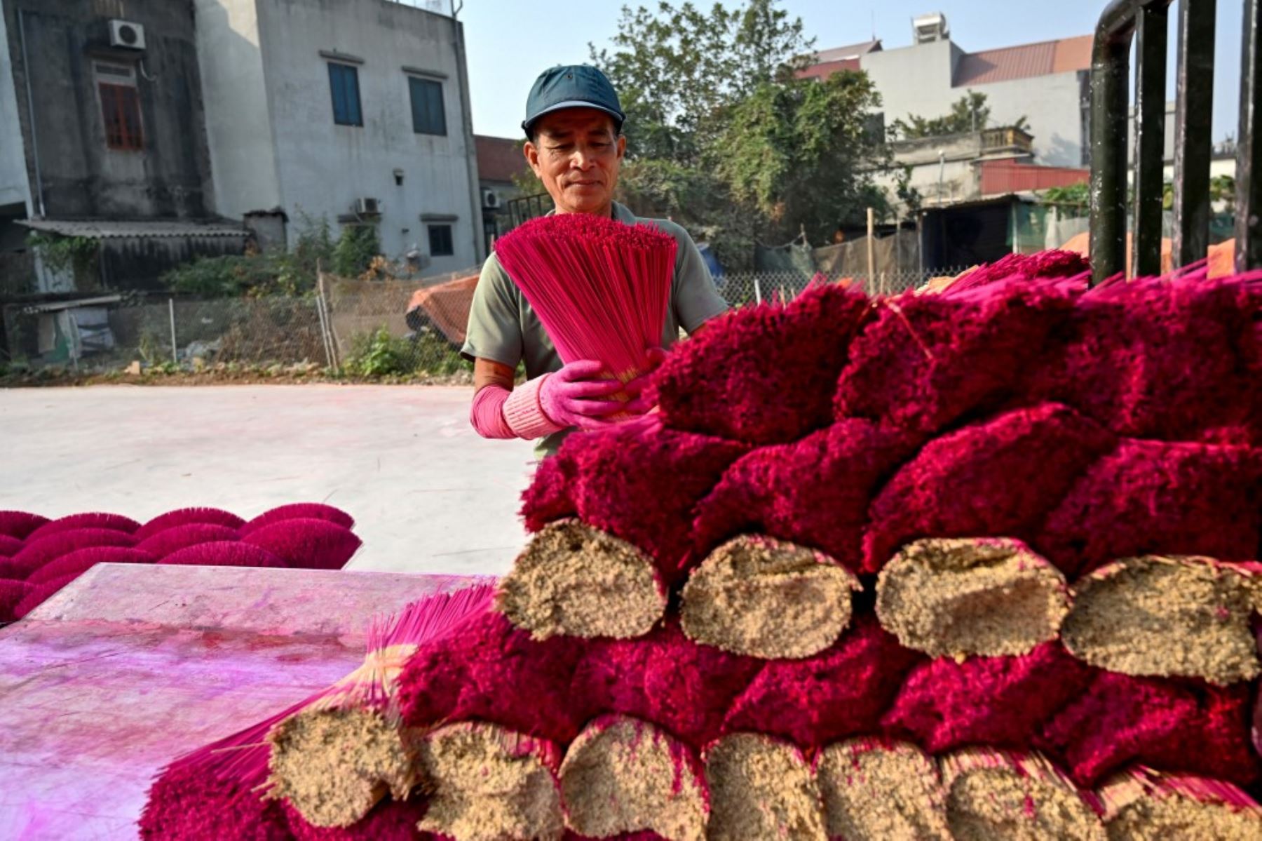 Un trabajador organiza barras de incienso secos para que se sequen en un patio en la aldea de Quang Phu Cau, en las afueras de Hanoi, antes de las celebraciones del Año Nuevo Lunar, conocidas en Vietnam como Tet. Las familias que viven y trabajan en el "pueblo del incienso" de Quang Phu Cau ahora también hacen palos en amarillo, azul y verde, atendiendo a los visitantes ansiosos por tomar fotos para Instagram. (Foto de Nhac NGUYEN / AFP)