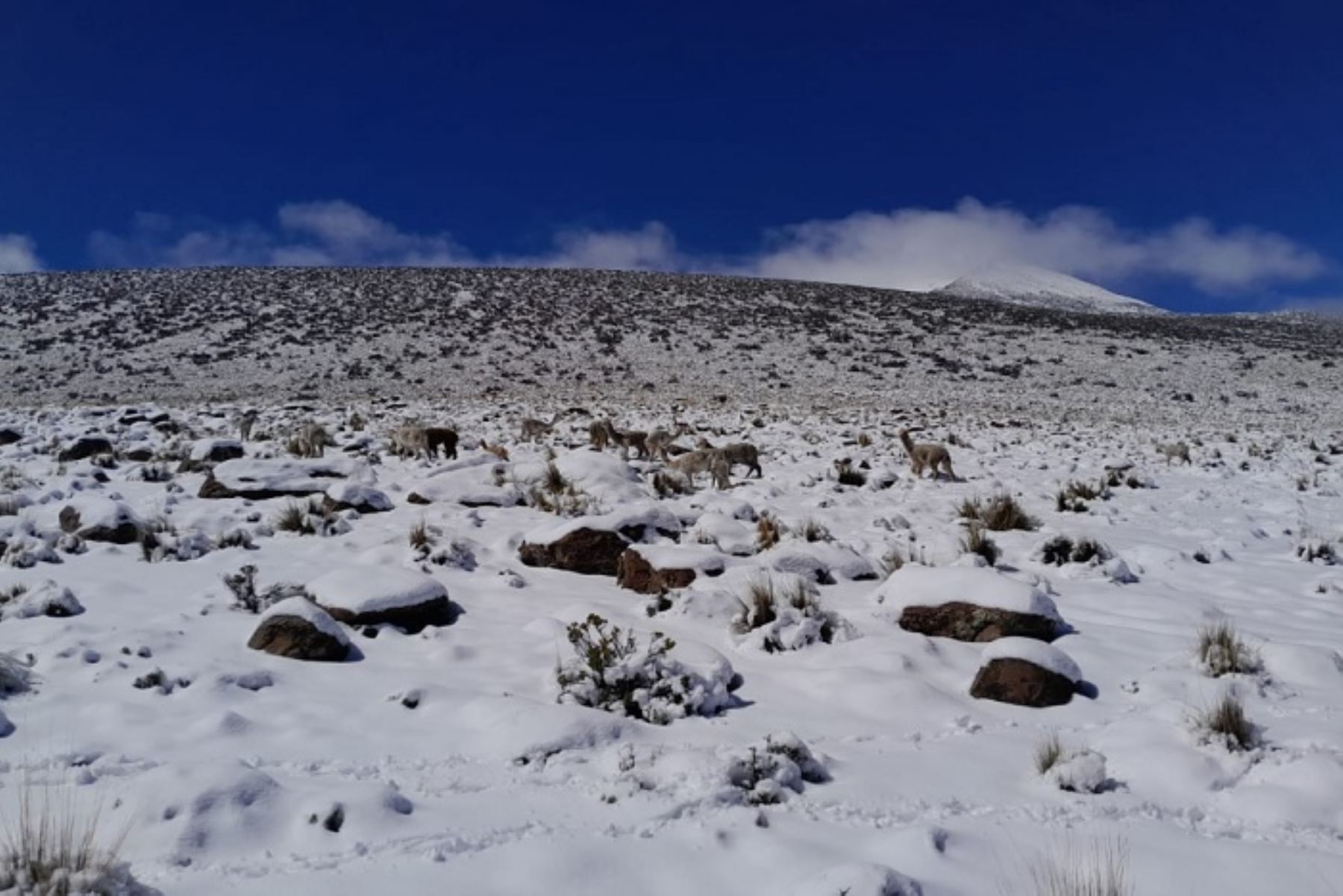 Por los fuertes vientos, en la Sierra están en alerta 13 regiones.