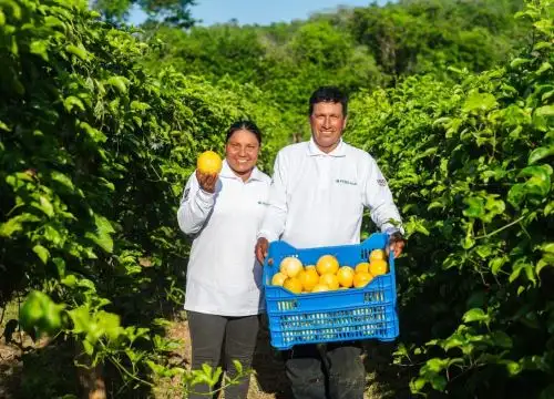 ANDINA/Difusión
