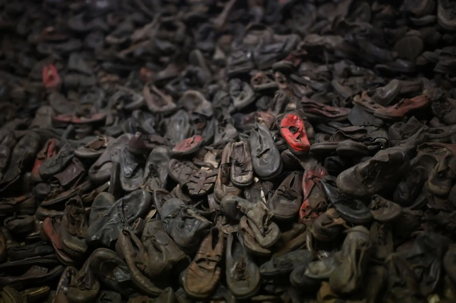 Sus palabras pusieron en pie a los 2.500 asistentes en una emotiva ceremonia celebrada en una carpa situada frente a la entrada para trenes de Auschwitz. Foto: AFP