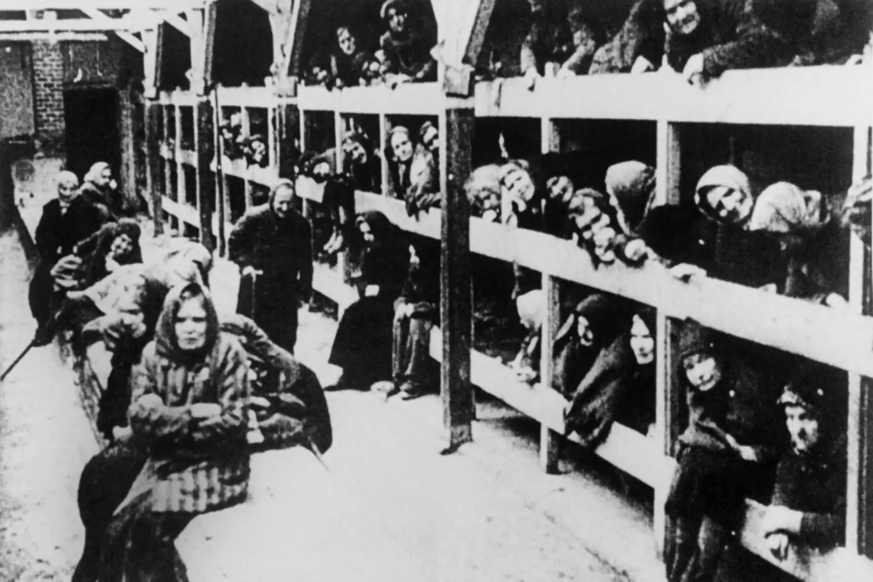 En Polonia se conmemoraron los 80 años de la liberación de Auschwitz con un acto emotivo que reunió a líderes de 50 países, sin la participación de Rusia debido al conflicto con Ucrania. Marian Turski, sobreviviente de 99 años, advirtió sobre los peligros del odio y el antisemitismo, instando al diálogo y a la paz entre los pueblos. Líderes y asistentes rindieron homenaje a las 1,1 millones de víctimas del Holocausto, en su mayoría judíos. Foto: AFP