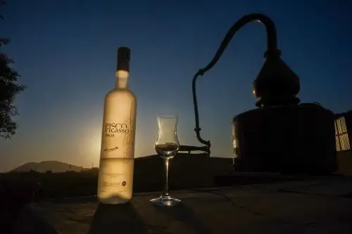 En septiembre de este año Perú postulará a las bodegas y viñedos tradicionales que elaboran el pisco, nuestra bebida bandera, como patrimonio mundial de la Unesco., anunció la presidenta Dina Boluarte. Foto: Genry Bautista