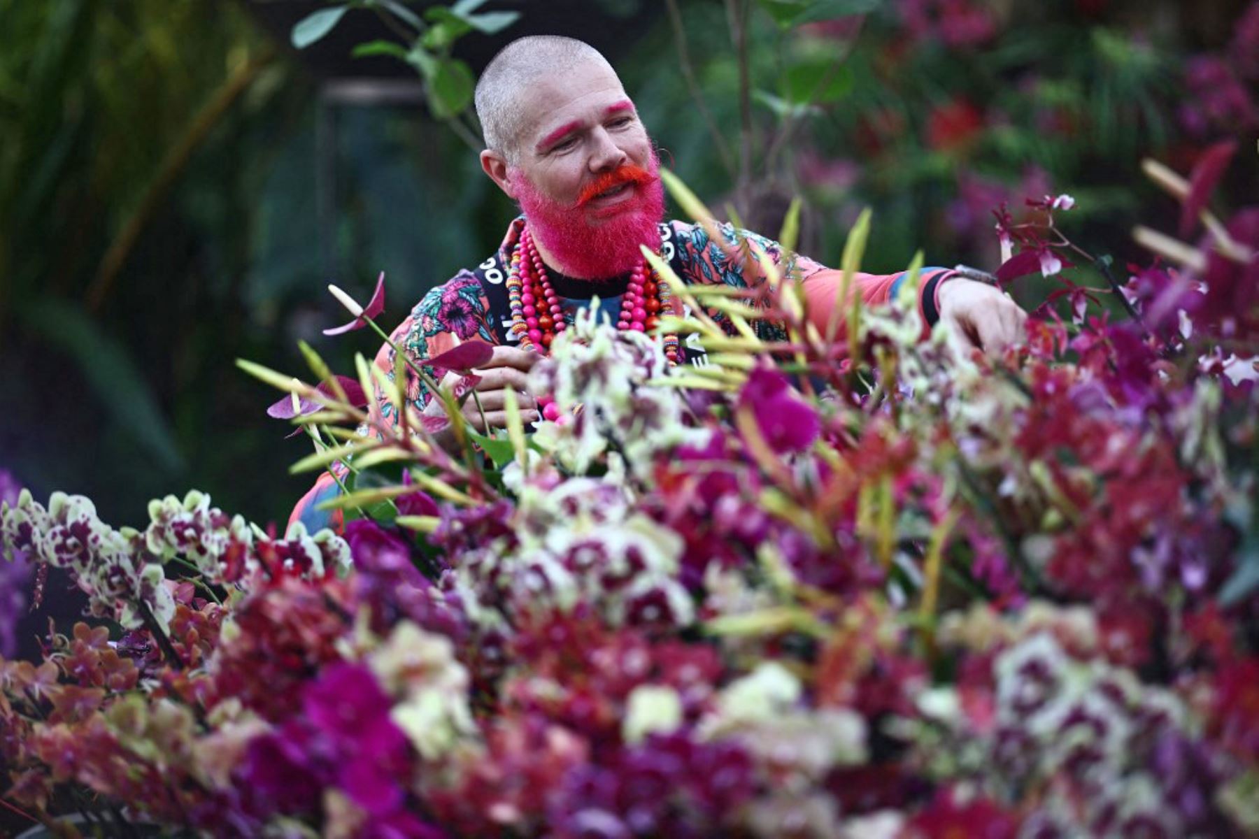 Los horticultores de Kew preparan exhibiciones de orquídeas para el 