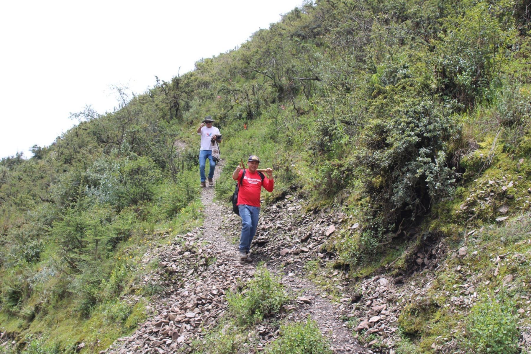 Autoridades y pobladores del distrito de Mollepata habilitaron una vía alterna para ingresar a la laguna Humantay, el principal atractivo turístico de la zona, tras el cierre del ingreso principal debido a peligros de deslizamientos. ANDINA/Difusión