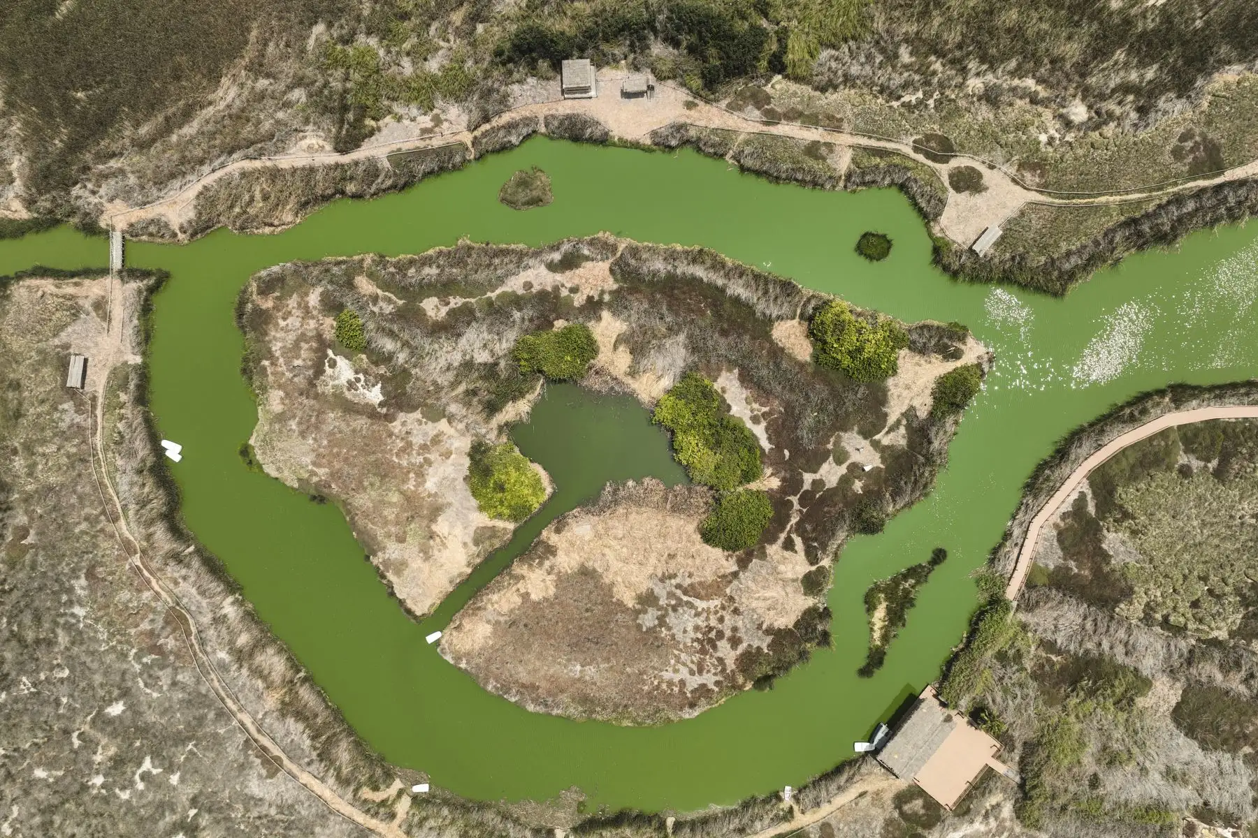 Los Pantanos de Villa se unen a la celebración por el Día Mundial de los Humedales con actividades para toda la familia. Los pantanos son un reservorio de aguas subterráneas que provienen de lluvias y deshielos de la cuenca del río Rímac y pueden albergar hasta 210 especies de aves (entre migratorias, residentes y de registros eventuales), según información del SERNANP. Foto: ANDINA/Jhonel Rodríguez Robles