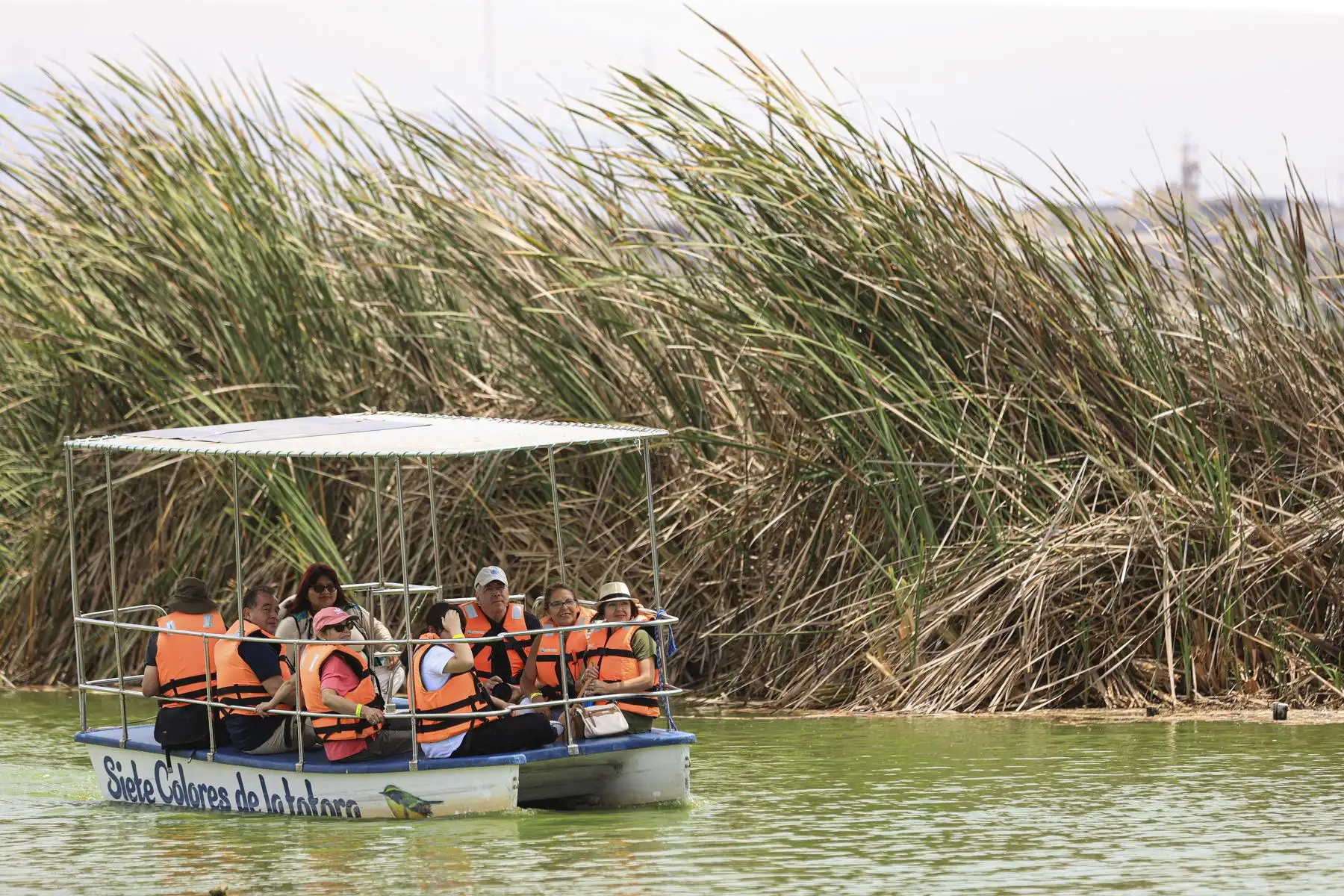 Los Pantanos de Villa se unen a la celebración por el Día Mundial de los Humedales con actividades para toda la familia. Los pantanos son un reservorio de aguas subterráneas que provienen de lluvias y deshielos de la cuenca del río Rímac y pueden albergar hasta 210 especies de aves (entre migratorias, residentes y de registros eventuales), según información del SERNANP. Foto: ANDINA/Jhonel Rodríguez Robles