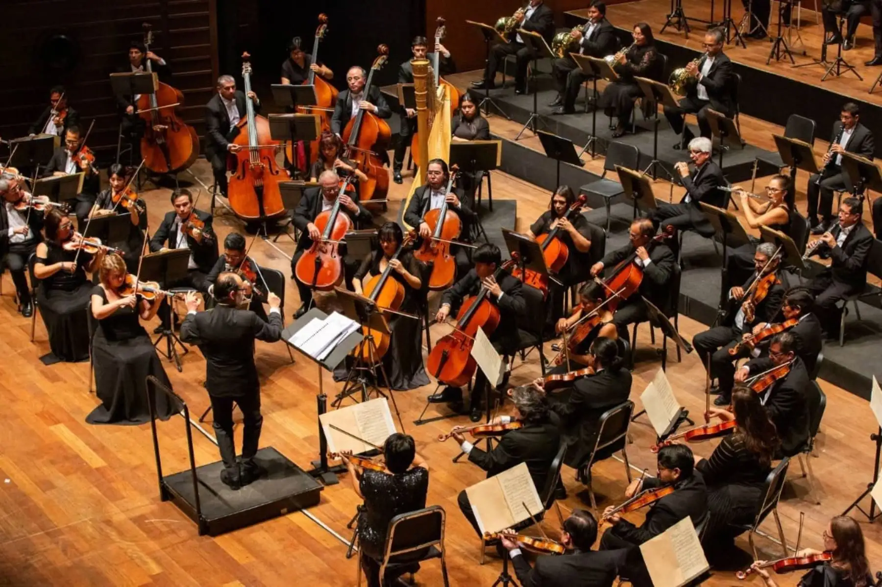 Orquesta Sinfónica Nacional será parte de la Festividad de la Virgen de la Candelaria.