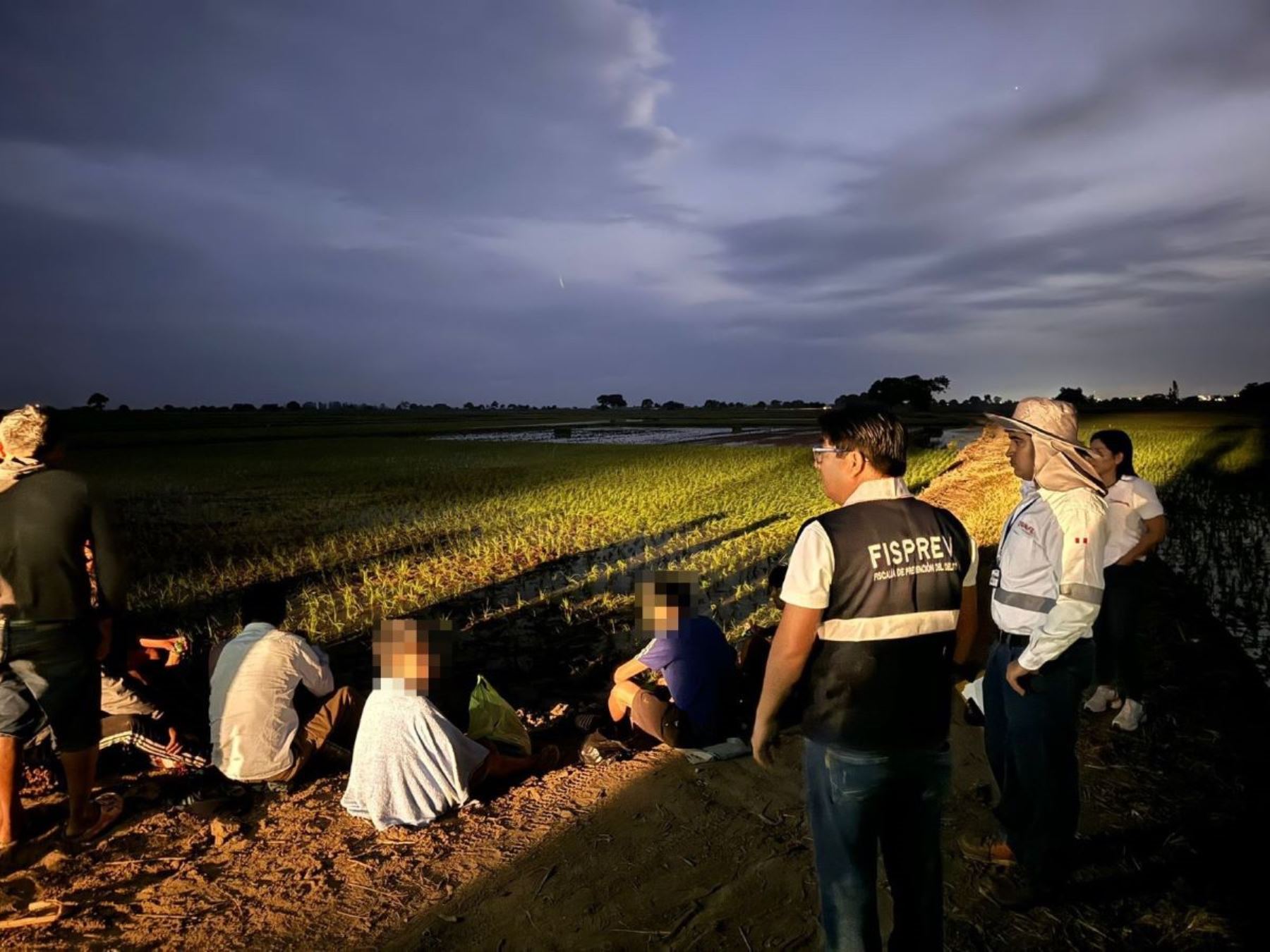 Día de la Lucha contra el Trabajo Forzoso. Foto: ANDINA/Difusión