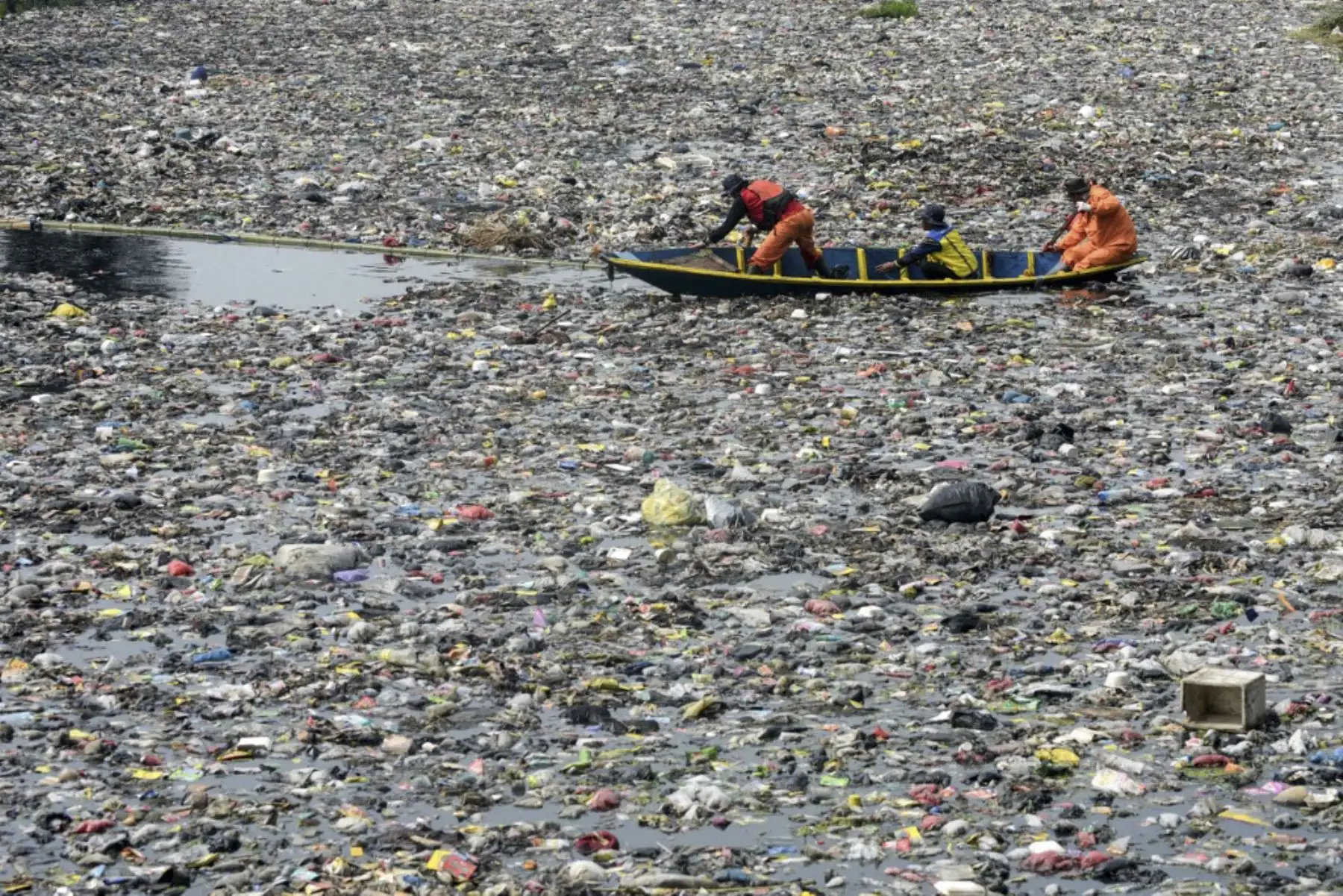 Voluntarios y oficiales de la Agencia de Gestión de la Cuenca del Gran Río (BBWS) Citarum limpian los escombros flotantes atrapados por postes de bambú en el río Citarum en Bandung, Java Occidental, el 27 de enero de 2025. (Foto de Timur MATAHARI / AFP)
