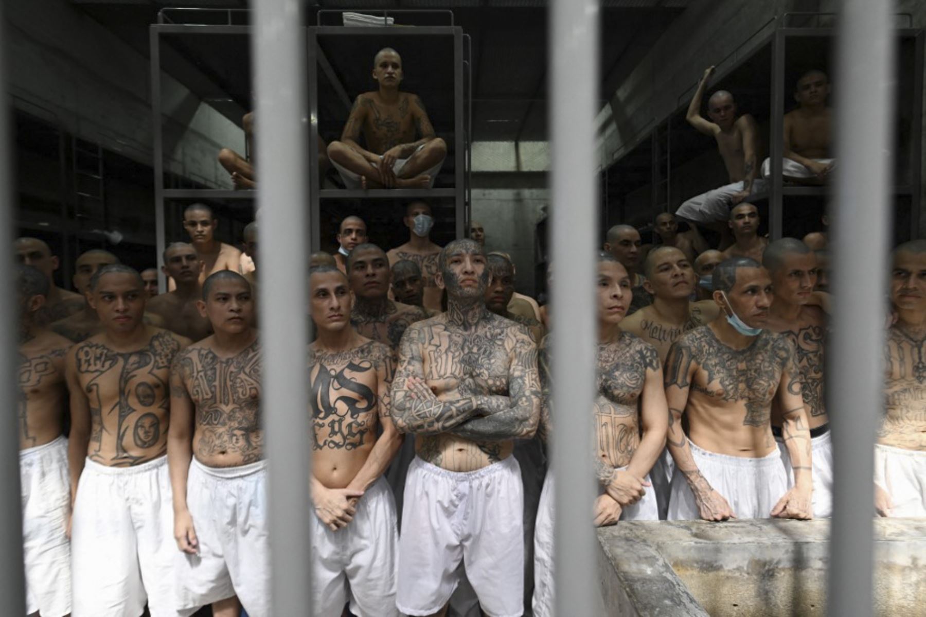 Reos recluidos en el Centro de Confinamiento Antiterrorista (Cecot) en El Salvador. Foto: AFP