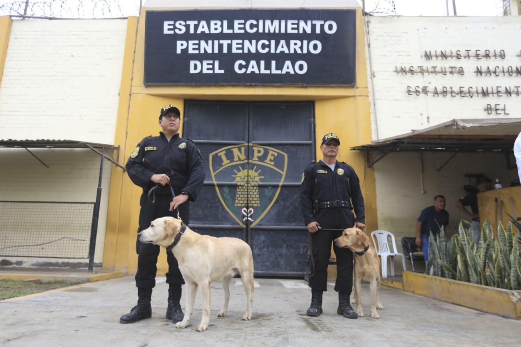 ANDINA/Difusión