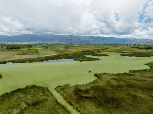 Autoridades y pobladores ejecutaron jornada de limpieza en el humedal Pucush Uclo, ubicado en el distrito de San Juan de Iscos, ubicado en la provincia de Chupaca, región Junín. ANDINA/Difusión