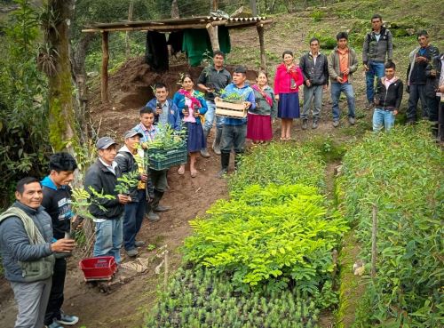 Alrededor de 80 pequeños productores de Lambayeque, dedicados a la agricultura familiar, se beneficiarán con los proyectos que ejecutará el programa Agro Rural en dicha región. ANDINA/Difusión