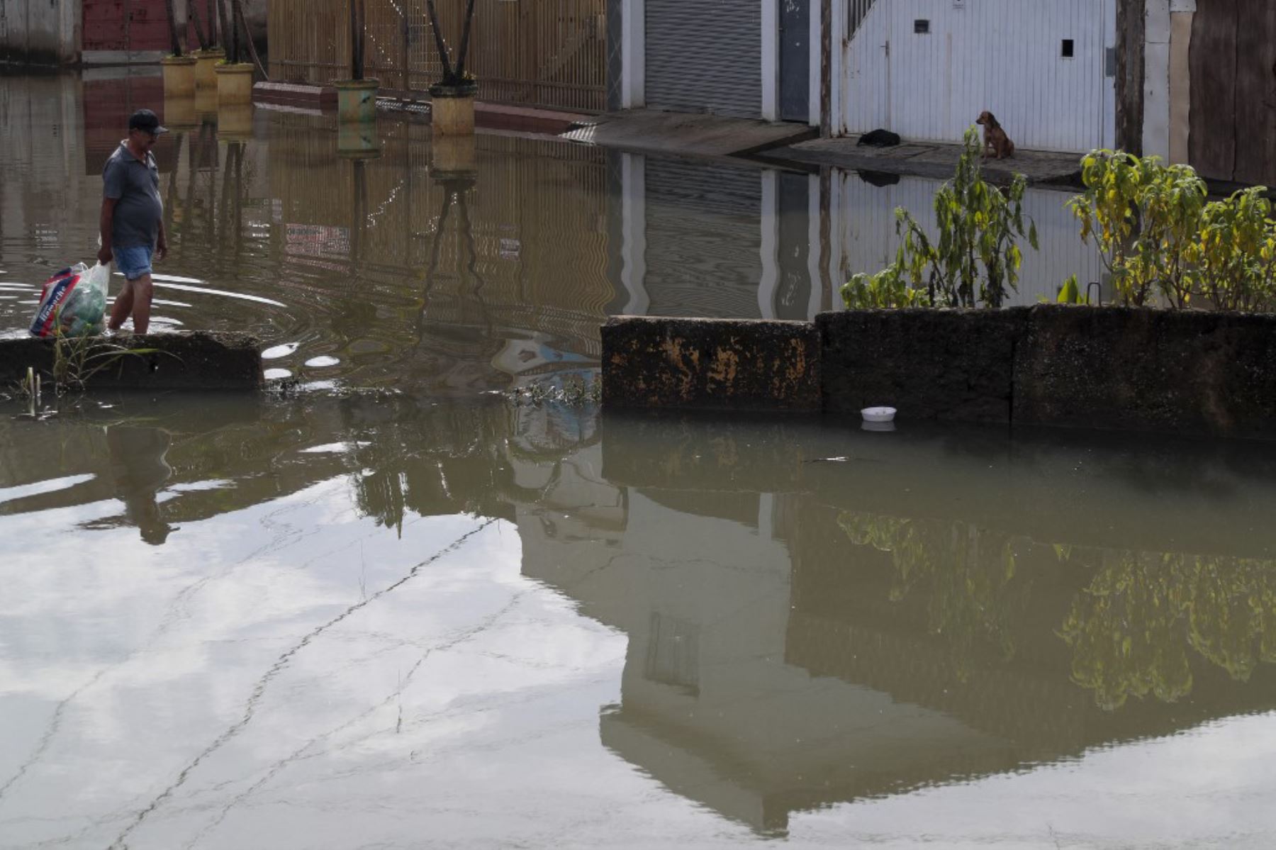 Un hombre camina por las aguas inundadas en el barrio Jardim Pantanal, en Sao Paulo. Los residentes de Jardim Pantanal, un barrio de bajos ingresos en Sao Paulo, enfrentan inundaciones después de las fuertes lluvias del fin de semana.
Foto: ANDINA/AFP