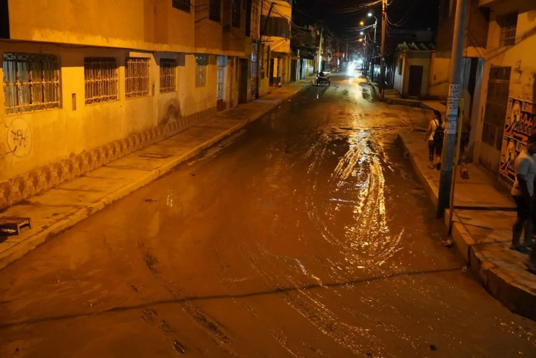 Ica: huaico de grandes proporciones en Nasca inundó viviendas y dañó cultivos. Foto. Genry Bsutista.