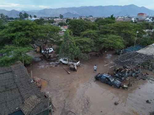 Productores que se dedican a la crianza de pato, cerdos y otros animales de corral en la zona de San Marcelo fueron los más afectados por el huaico y desborde del río Tierras Blancas que se registró en el distrito de Nasca. Foto: Genry Bautista