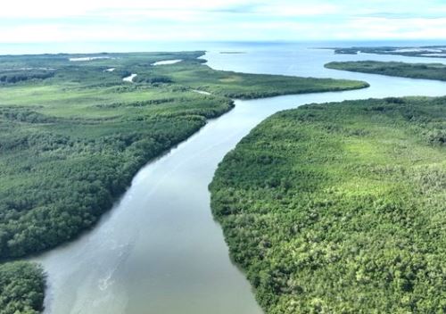 El Minam destacó el trabajo articulado que realiza el Sernanp con las comunidades locales ubicadas en el Santuario Nacional Los Manglares de Tumbes para la protección de ese ecosistema. ANDINA/Difusión