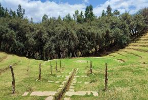 Bosque Dorado, situado en la comunidad campesina de Paccha del distrito El Tambo, en la provincia de Huancayo y uno de los atractivos turísticos de imperdible visita en la Ruta del Huaylarsh.