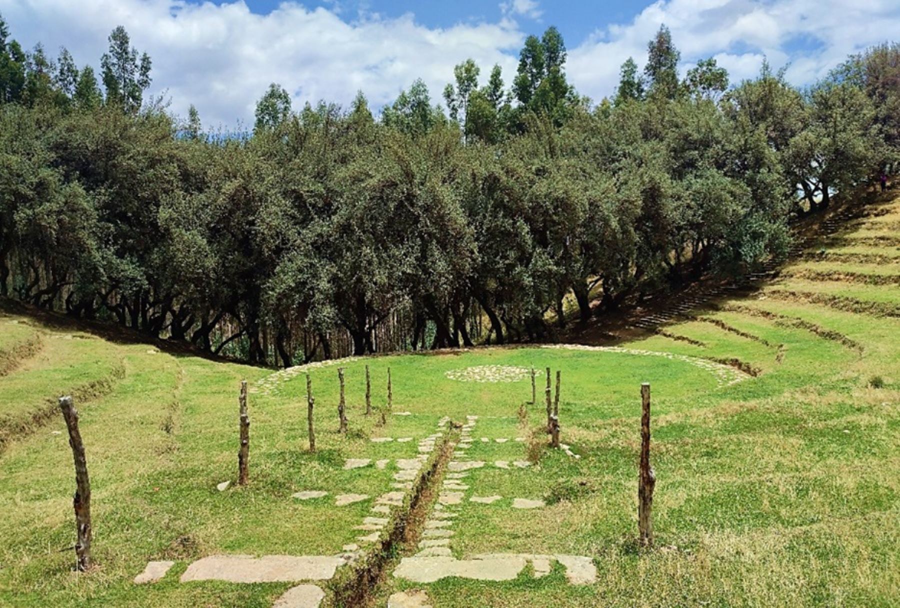 Bosque Dorado, situado en la comunidad campesina de Paccha del distrito El Tambo, en la provincia de Huancayo y uno de los atractivos turísticos de imperdible visita en la Ruta del Huaylarsh.