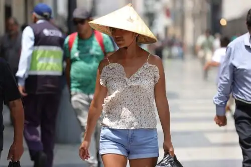 Foto: ANDINA/Melina Mejía